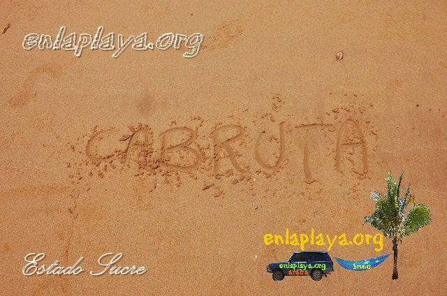 Playa Cabruta   S152