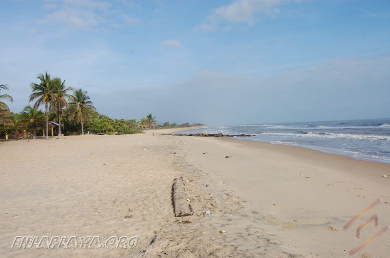 Playa Pintada M005