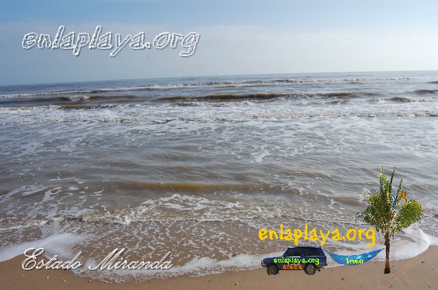 Playa Pintada M005