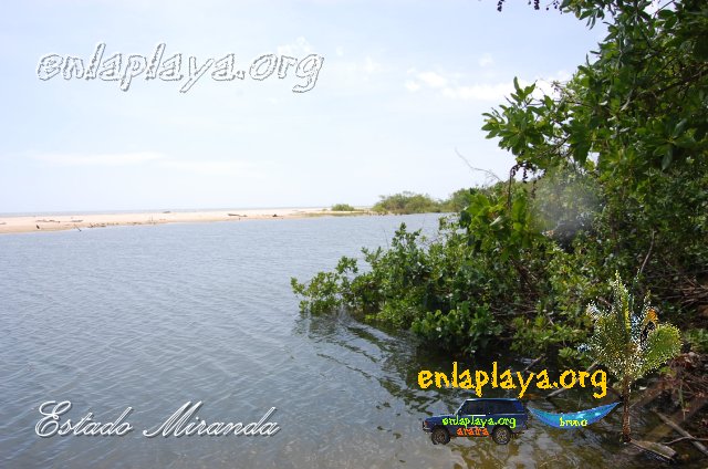 Playa Guacuco M019, sector Machurucuto