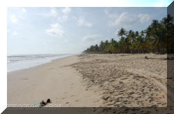 Playa Cocomar M013, sector Machurucuto