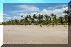Playa Dorada M023, sector Machurucuto
