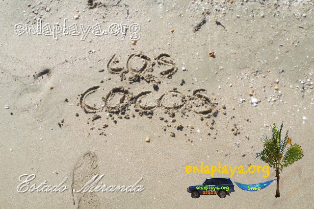 Playa Los Cocos M077