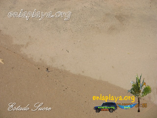 Playa Nivaldo S043