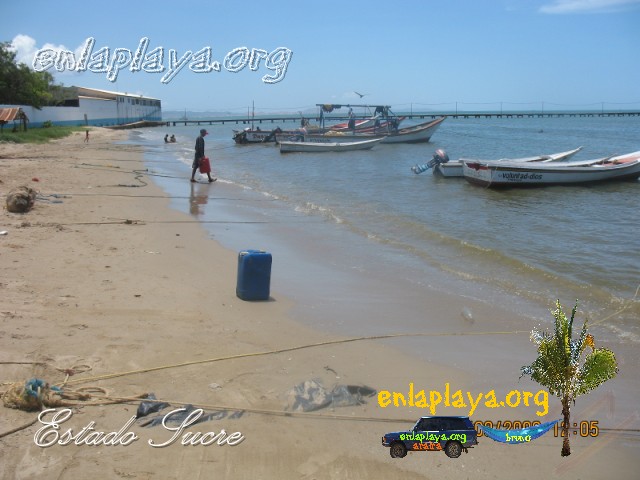 Playa Chacopata S092