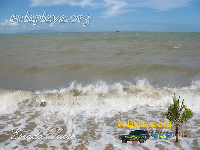 Playa Taguapire S103