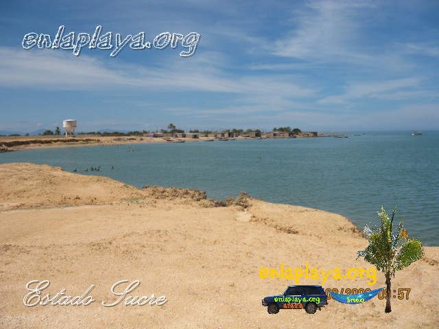 Playa Punta El Gato (Caracolito) S113 