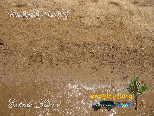 Playa Maigualida S137, Estado Sucre, Entre las mejores playas de Venezuela, Top100 
